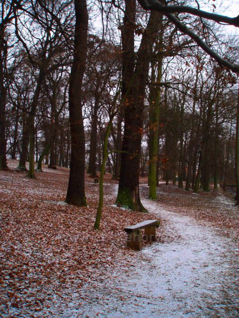 Zimní toulky
parkem v Proboštově