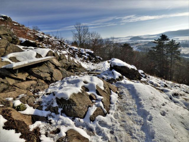 Bořeň pod sněhem