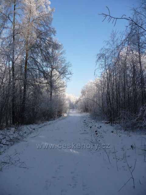 Zimní výstup na Milešovku