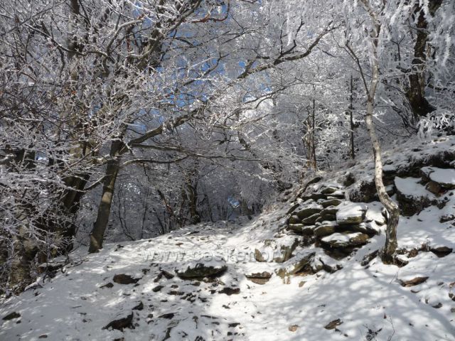 Zimní výstup na Milešovku