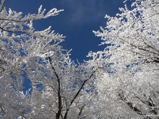 Zimní výstup na Milešovku