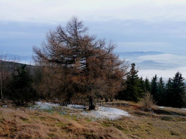 Zimní výhledy z Komáří Hůrky
