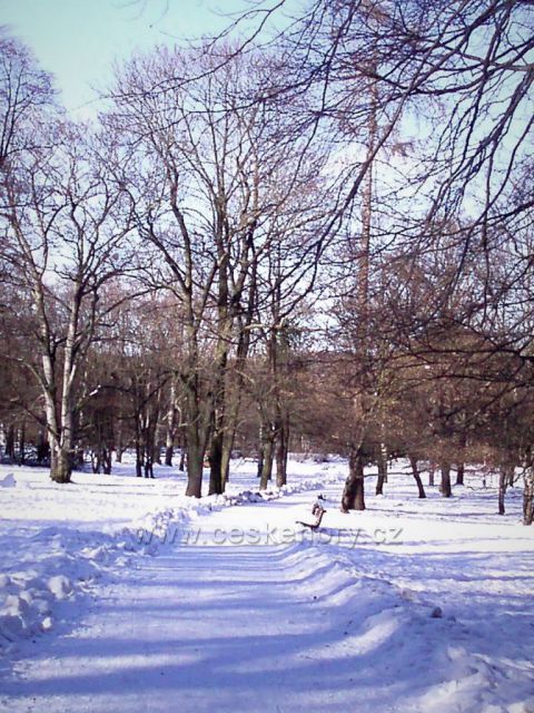 Zimní procházka Stromovkou