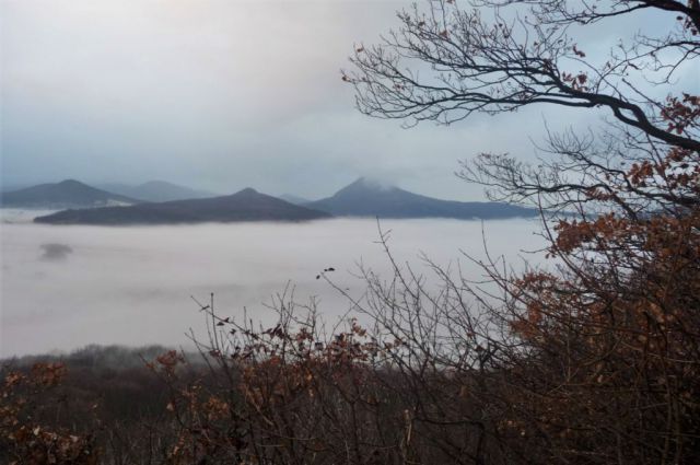 Řežný Újezd
(mlžné výhledy z Borečského vrchu)