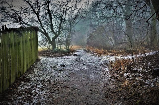 Dýmající vrch Boreč – místo, které nikdy nezamrzá