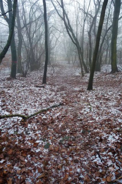 Dýmající vrch Boreč – místo, které nikdy nezamrzá