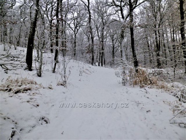 Cesta na kopec Kaňkov