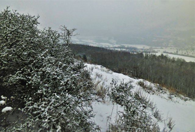 Shlížení z mlžného Kaňkova