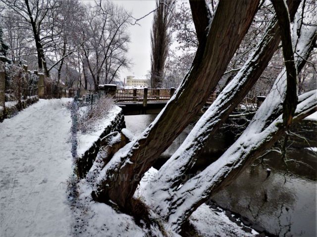 Cesta ze zasněžené Kyselky