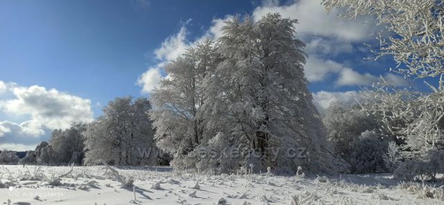 Slavkovský les-Krásno