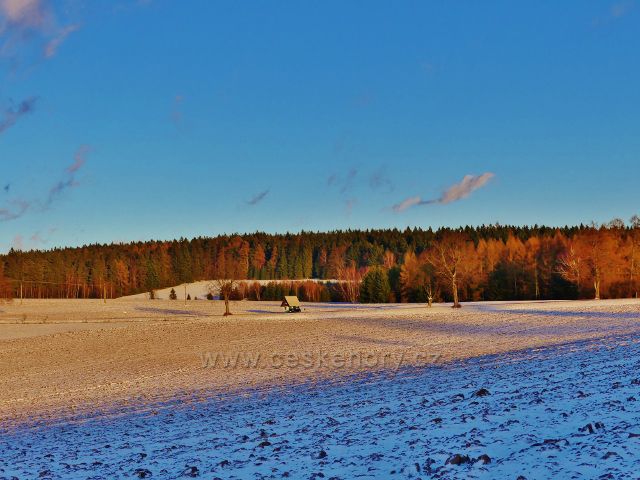 Zaječiny - pohled na Žamberské lesy při západu slunce