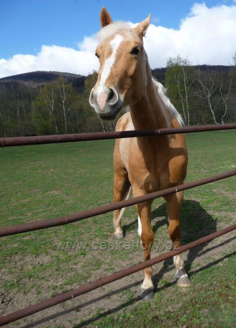 Osek 
-farma pod Krušnými horami