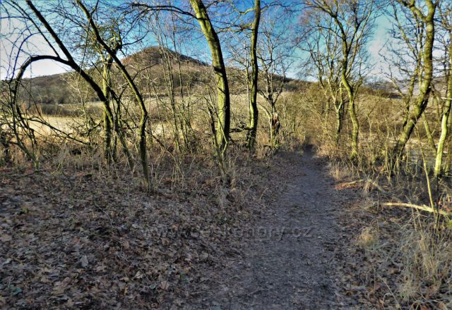 Od kopce Boreč k zámku Boreč