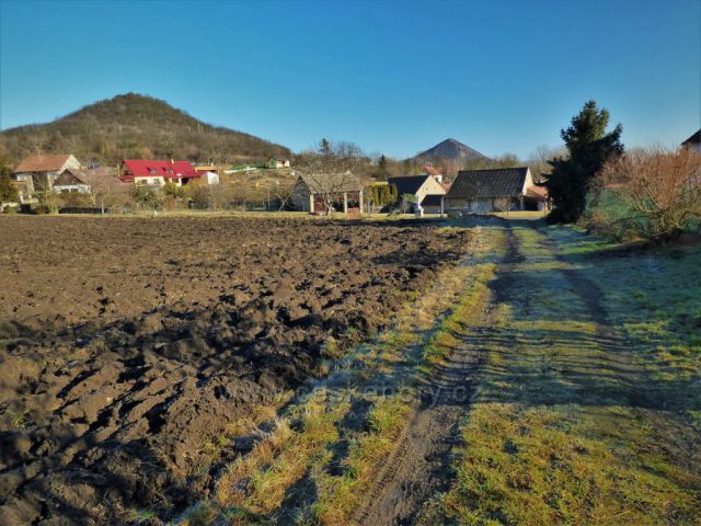 Z obce Boreč na Holý vrch