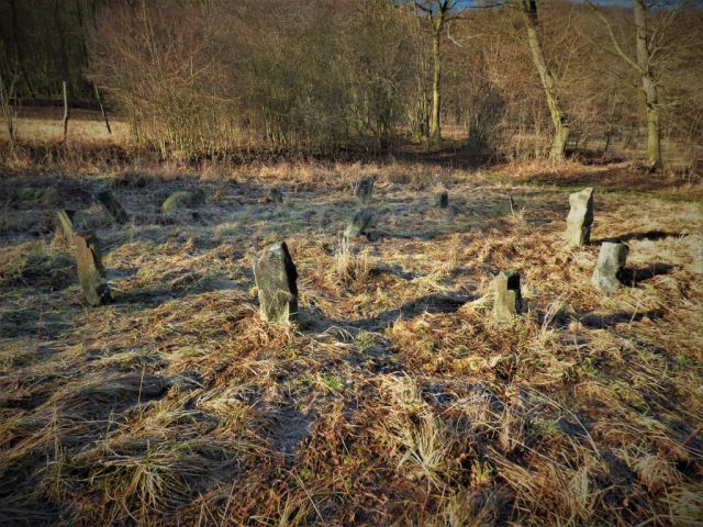Putování k Holému vrchu
(drobné vztyčené kameny přímo za obcí Boreč)