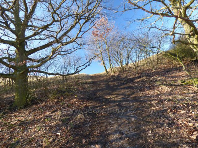 Putování k Holému vrchu
(těsně před cílem)