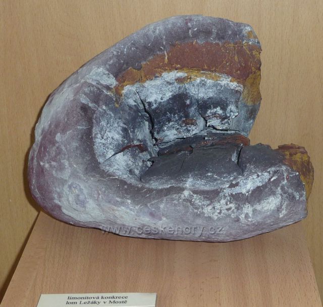 Oblastní muzeum a galerie v Mostě
(ukázky nerostů z okolí Mostu)