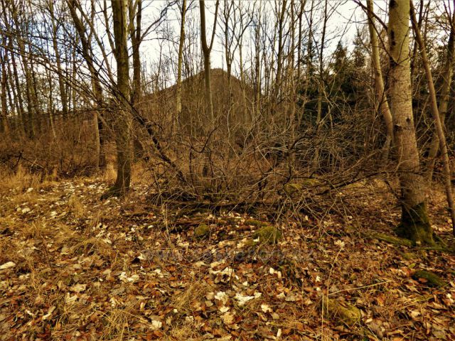 Naučná stezka Březina
(mezi stromy se rýsuje Milešovka)