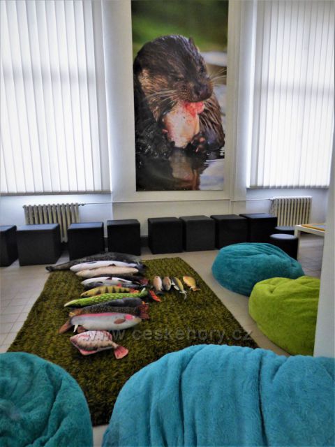 Oblastní muzeum a galerie v Mostě
(expozice k životnímu prostředí vydry říční)