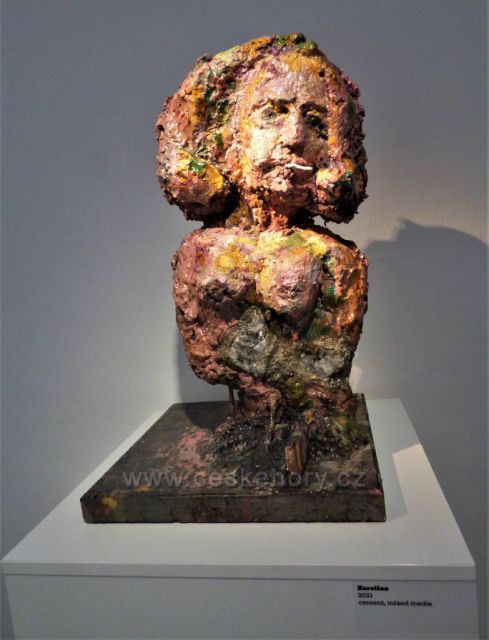 Oblastní muzeum a galerie v Mostě
(výstava obrazů a plastik T. Červeňáka)