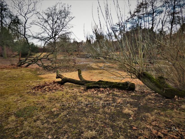 Předjaří v Podkrušnohorském Zooparku