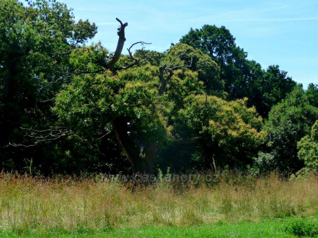 Jarní toulky zooparkem