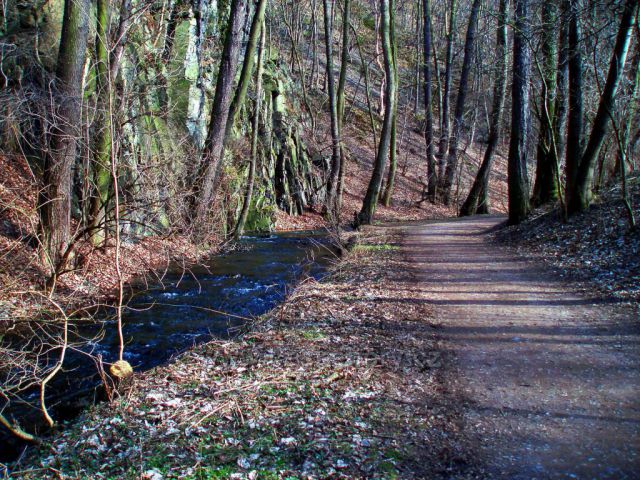 Předjaří v Tichém údolí
(chráněné mokřady)