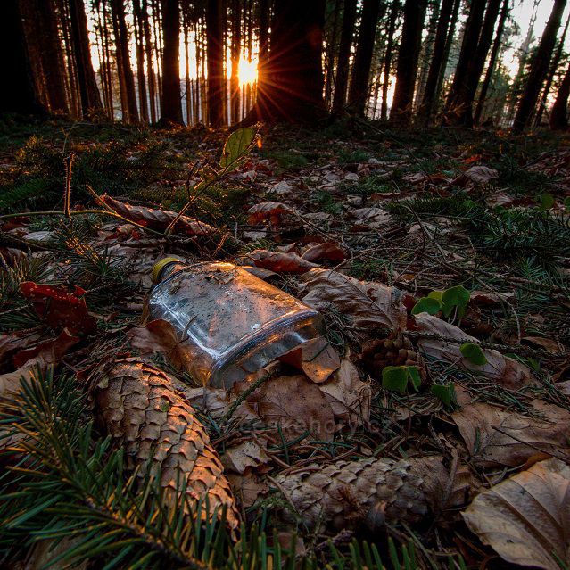 Natradiční zátiší ...