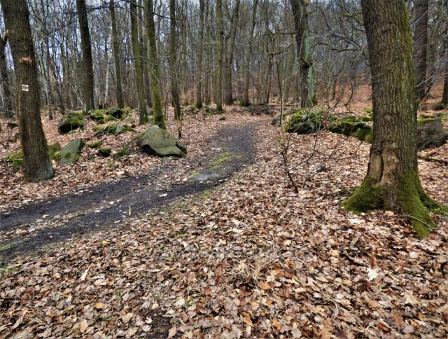 Osek
(cesta k Salesiově výšině)