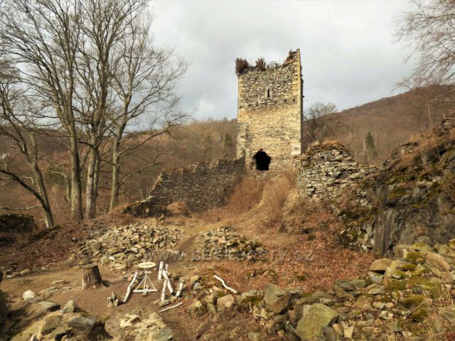 Březový stolek před obytnou věží hradu Rýzmburk
(Osek)