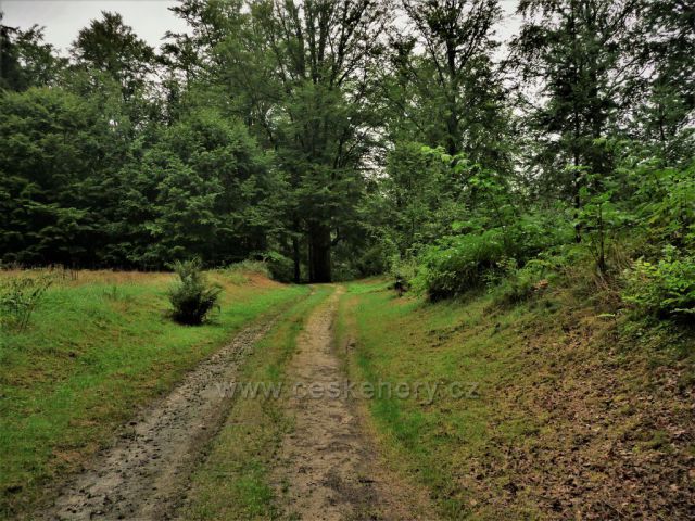 Zámecký park
zámek Kynžvart