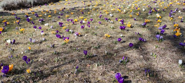 České středohoří