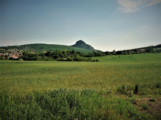 Jarní pole Na Větráku
(Bílina)