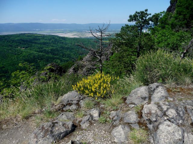 Putování mezi znělcovými kameny
(Bořeň)