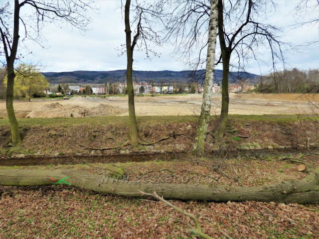 Rekultivace Proboštovského rybníka