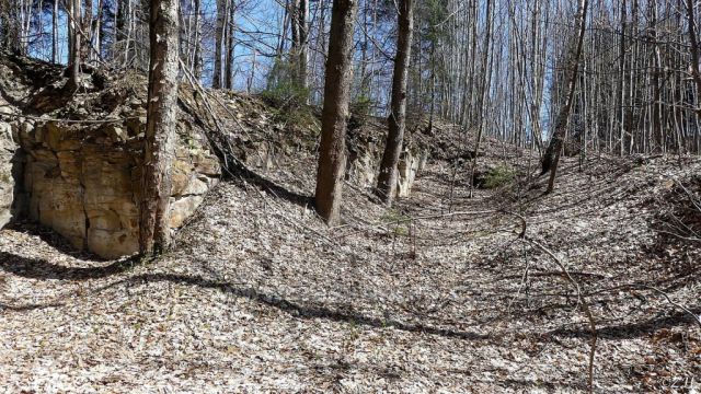 Mladějovské hradisko