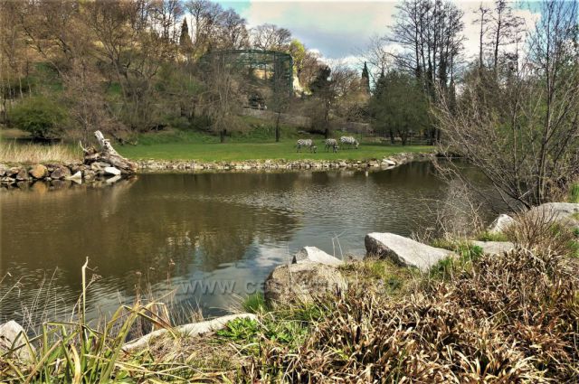 Velikonoce v plzeňské ZOO