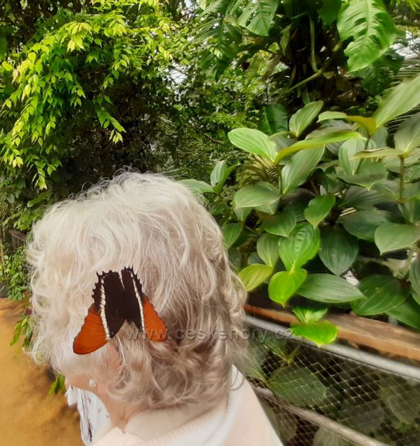 Botanická zahrada, skleník Fata Morgana