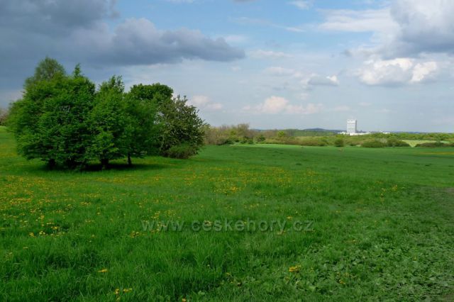 Divoká Šárka na jaře