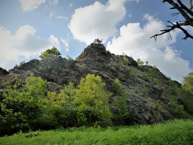 Divoká Šárka na jaře