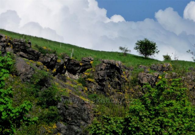 Divoká Šárka na jaře