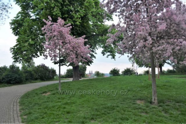 V Letenských sadech