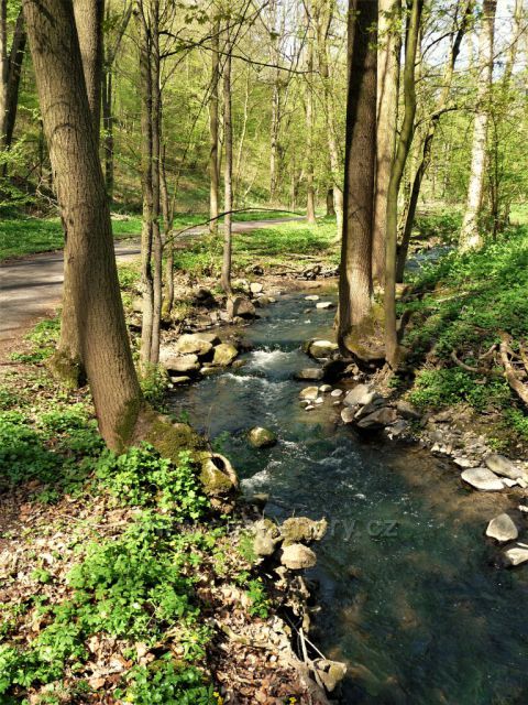 Jarní Porta Bohemika