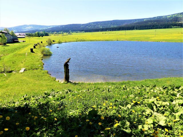 Orlické záhoří - vodní nádrž