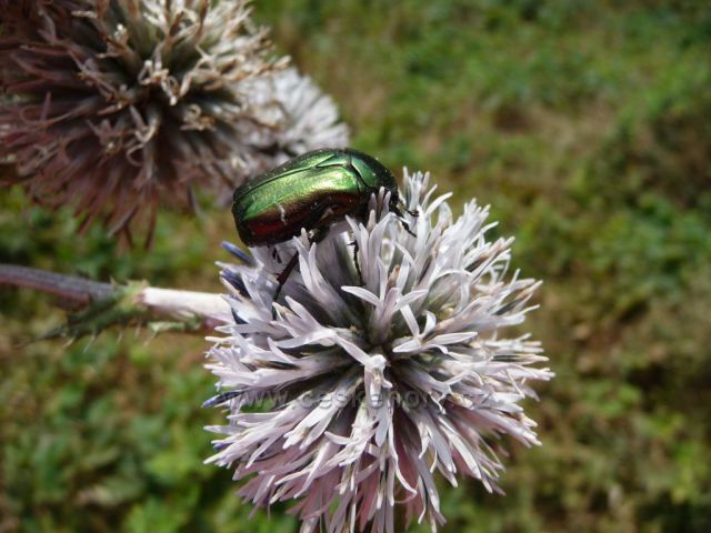 Podél toku řeky Bíliny