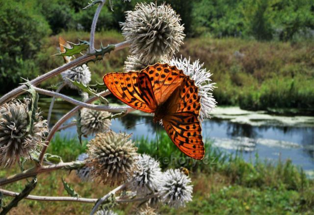 Podél toku řeky Bíliny