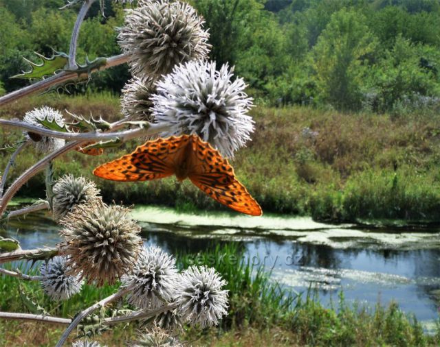 Podél toku řeky Bíliny