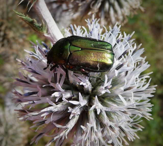 Podél toku řeky Bíliny