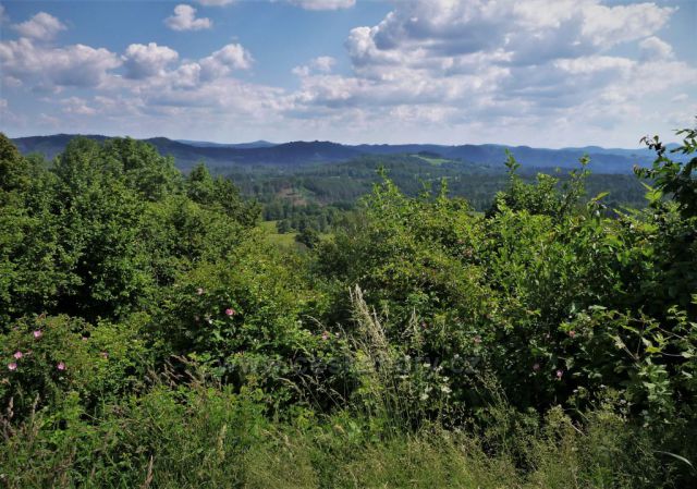 Rozhledna Růženka a krásné výhledy na Saské Švýcarsko a Lužické hory