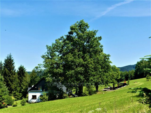 Chalupa na úbočí Hřebínku